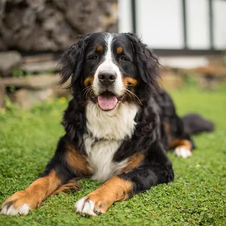 Bieke Апартаменты Finnentrop