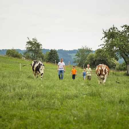 Апартаменты Bieke