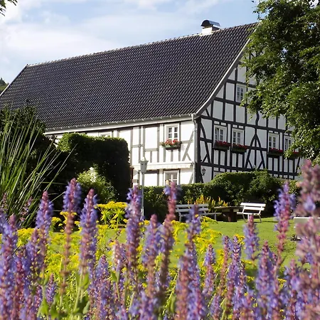 Bieke Apartman Finnentrop