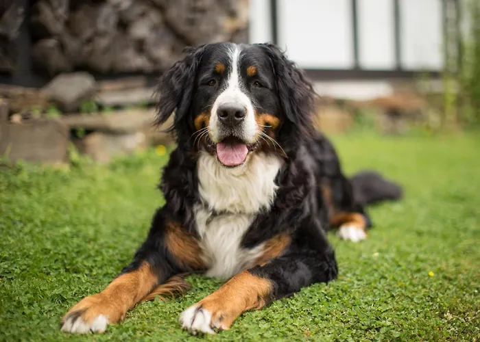 Bieke Appartamento Finnentrop