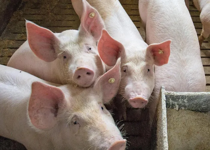 Appartamento Bieke Finnentrop