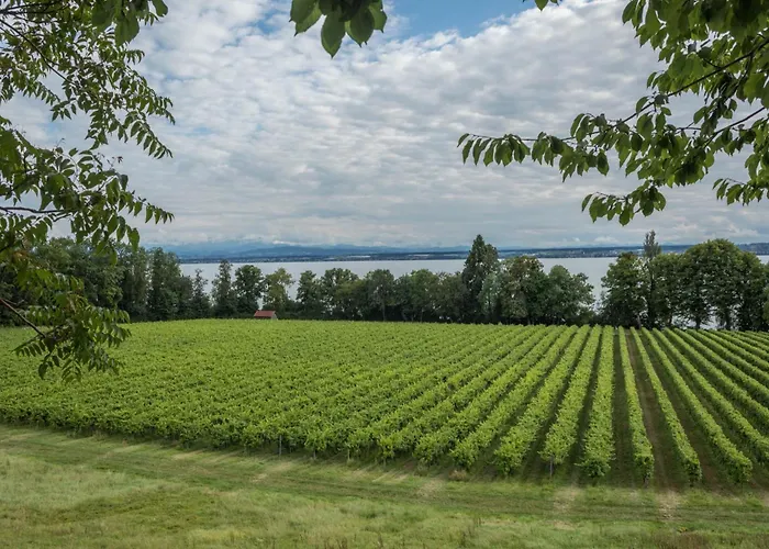 Appartamento Bieke Finnentrop